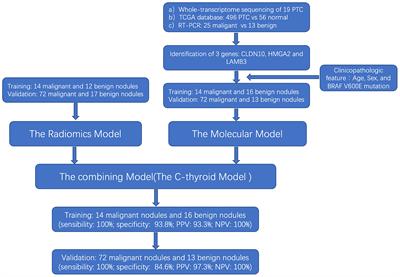 Combining radiomics and molecular biomarkers: a novel economic tool to improve diagnostic ability in papillary thyroid cancer